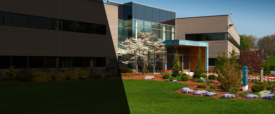 Phoenixville Landscapers