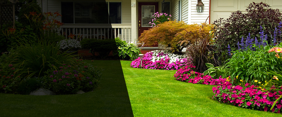 Phoenixville Landscapers