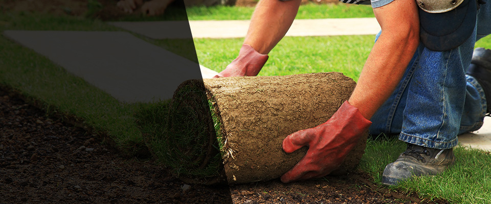 Phoenixville Landscapers